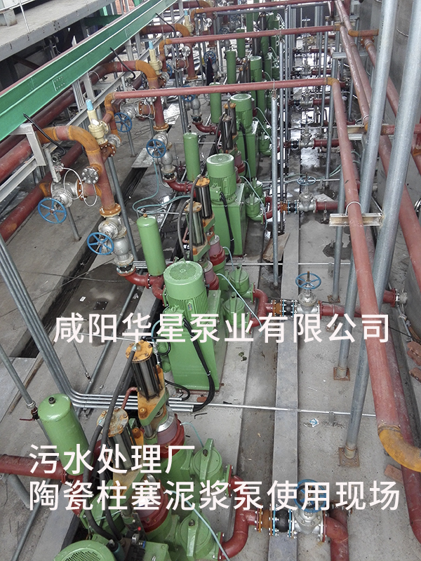污水处理厂使用压滤机专用泵